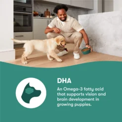 Jinx Jr Whole Grain Chicken Recipe Natural Dry Puppy Food, 4-lb Bag 10 Jinx Jr Whole Grain Chicken Recipe Natural Dry Puppy Food, 4-lb Bag -ROYAL CANIN Shop 765598 PT3. AC SS1800 V1675201411