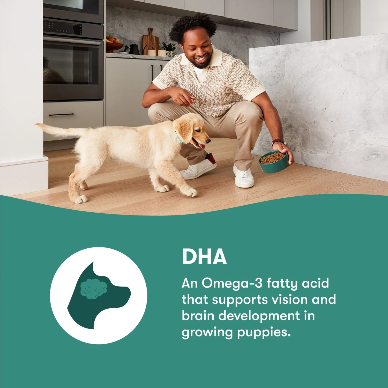 Jinx Jr Whole Grain Chicken Recipe Natural Dry Puppy Food, 4-lb Bag 4 Jinx Jr Whole Grain Chicken Recipe Natural Dry Puppy Food, 4-lb Bag - Image 4