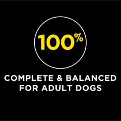 Dog Chow High Protein Recipe With Real Lamb & Beef Flavor Dry Dog Food -ROYAL CANIN Shop 767750 PT2. AC SS1800 V1675367000