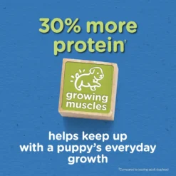 Puppy Chow Tender & Crunchy With Real Beef Dry Dog Food -ROYAL CANIN Shop 767774 PT2. AC SS1800 V1675375952