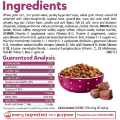 Puppy Chow Tender & Crunchy With Real Beef Dry Dog Food -ROYAL CANIN Shop 767774 PT5. AC SS1800 V1675375897