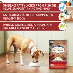 Rachael Ray Nutrish Real Beef, Pea, & Brown Rice Recipe Dry Dog Food -ROYAL CANIN Shop 770718 PT4. AC SS1800 V1675966714