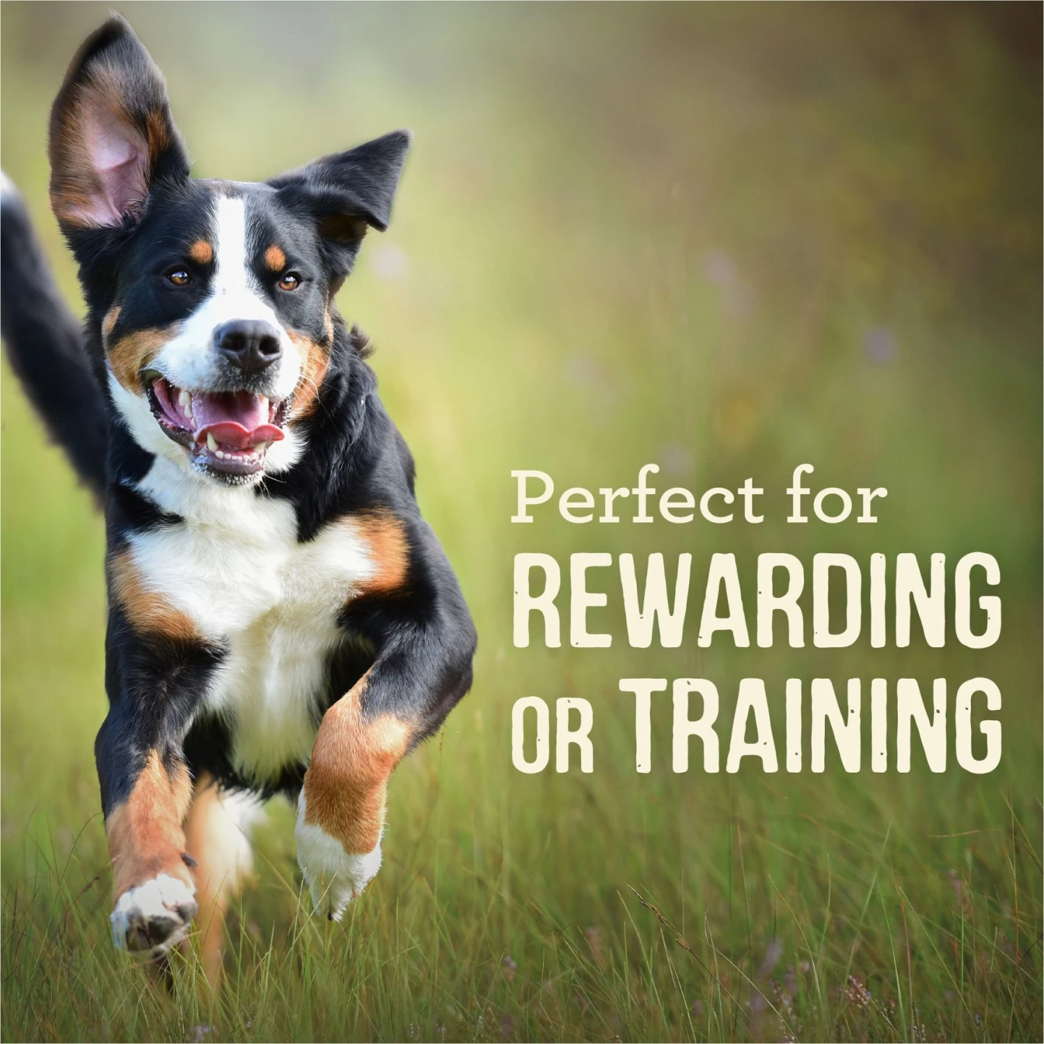 Merrick Power Bites Turducken Recipe Grain-Free Soft & Chewy Dog Treats 5 Merrick Power Bites Turducken Recipe Grain-Free Soft & Chewy Dog Treats - Image 5