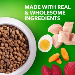 Iams Proactive Health Puppy High Protein DHA Formula With Real Chicken Dry Dog Food -ROYAL CANIN Shop 77199 PT3. AC SS1800 V1668024638