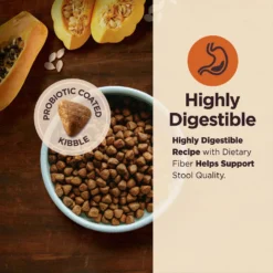 Wellness CORE Digestive Health Chicken & Brown Rice Dry Dog Food, 24-lb Bag -ROYAL CANIN Shop 778398 PT2. AC SS1800 V1677612889