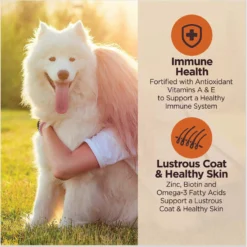 Wellness CORE Digestive Health Chicken & Brown Rice Dry Dog Food, 24-lb Bag -ROYAL CANIN Shop 778398 PT3. AC SS1800 V1676653908