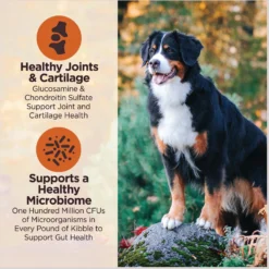 Wellness CORE Digestive Health Chicken & Brown Rice Dry Dog Food, 24-lb Bag -ROYAL CANIN Shop 778398 PT4. AC SS1800 V1676653911