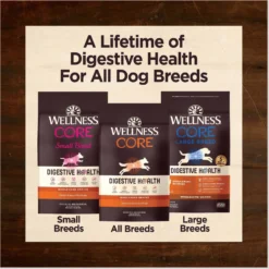 Wellness CORE Digestive Health Chicken & Brown Rice Dry Dog Food, 24-lb Bag -ROYAL CANIN Shop 778398 PT8. AC SS1800 V1676653574