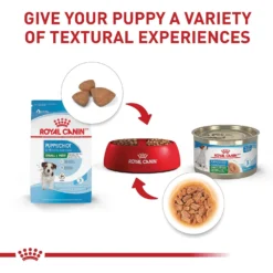 Royal Canin Size Health Nutrition Small Puppy Dry Dog Food -ROYAL CANIN Shop 778790 PT5. AC SS1800 V1676653189