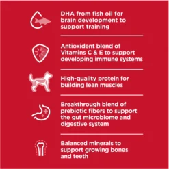 Hill's Science Diet Puppy Large Breed Lamb Meal & Brown Rice Recipe Dry Dog Food -ROYAL CANIN Shop 779126 PT2. AC SS1800 V1676907196