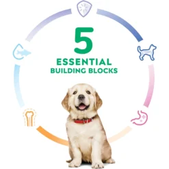 Hill's Science Diet Puppy Large Breed Lamb Meal & Brown Rice Recipe Dry Dog Food -ROYAL CANIN Shop 779126 PT4. AC SS1800 V1676751580