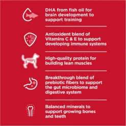 Hill's Science Diet Puppy Large Breed Chicken & Brown Rice Recipe Dry Dog Food 11 Hill's Science Diet Puppy Large Breed Chicken & Brown Rice Recipe Dry Dog Food -ROYAL CANIN Shop 779142 PT2. AC SS1800 V1676907199