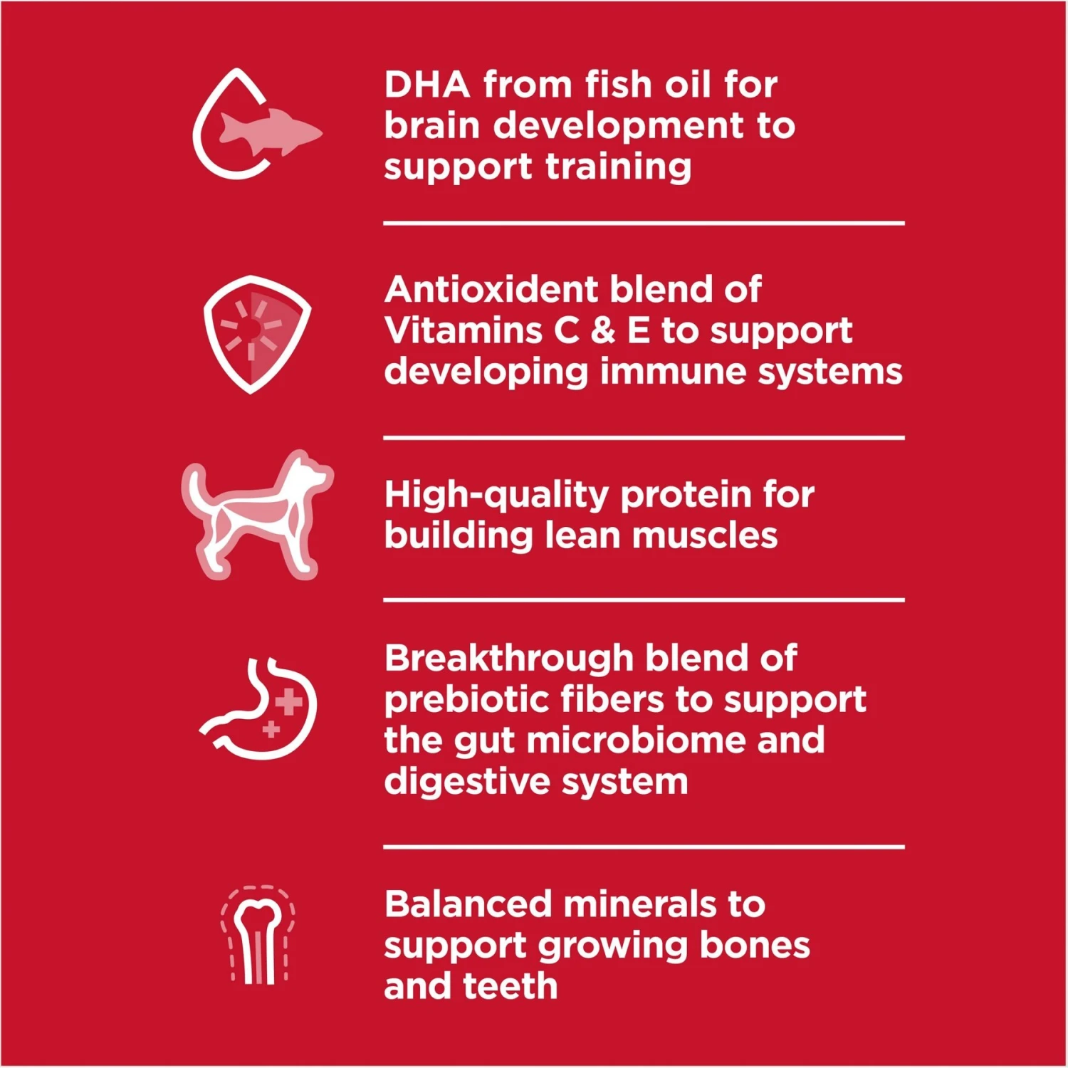 Hill's Science Diet Puppy Large Breed Chicken & Brown Rice Recipe Dry Dog Food 3 Hill's Science Diet Puppy Large Breed Chicken & Brown Rice Recipe Dry Dog Food - Image 3