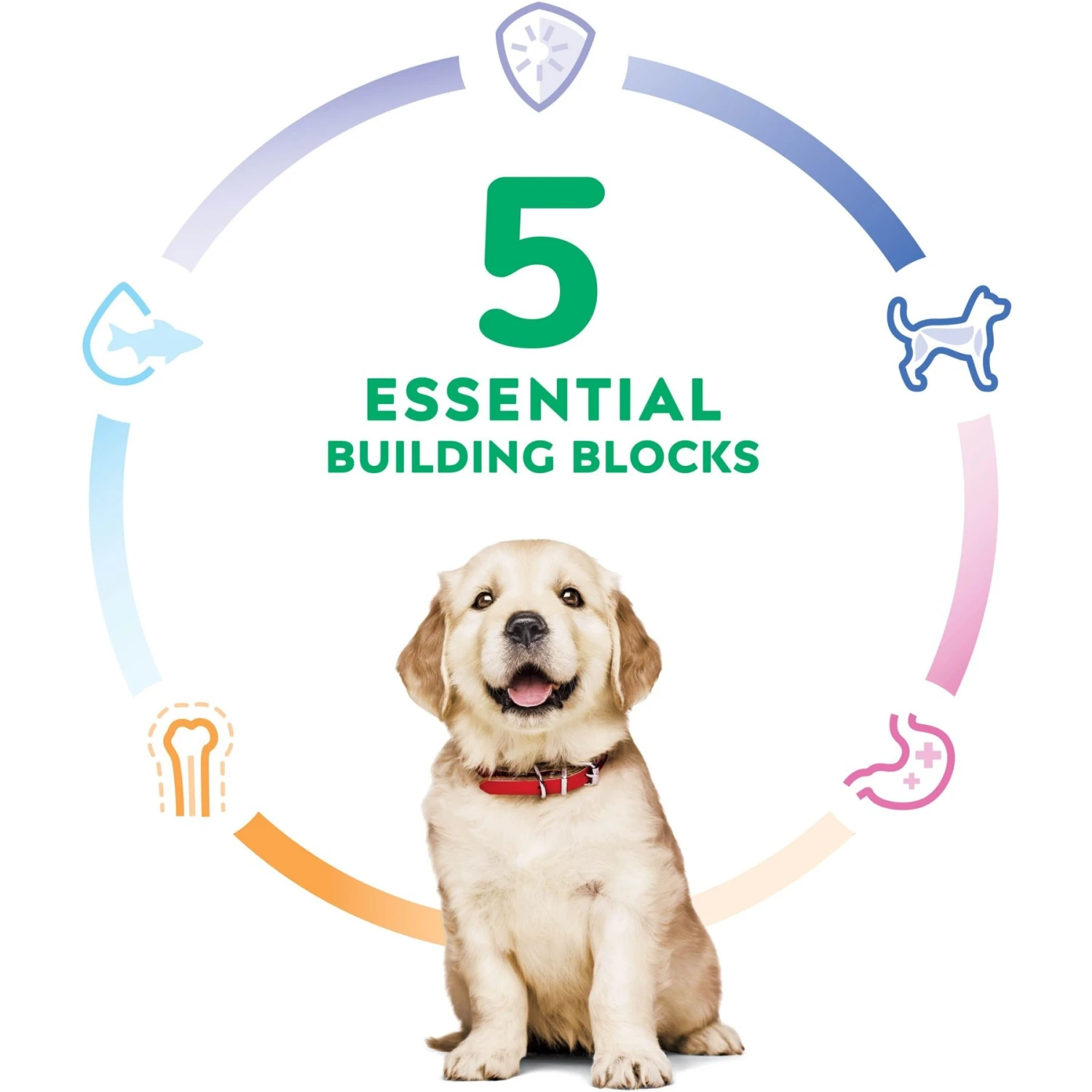 Hill's Science Diet Puppy Large Breed Chicken & Brown Rice Recipe Dry Dog Food 5 Hill's Science Diet Puppy Large Breed Chicken & Brown Rice Recipe Dry Dog Food - Image 5