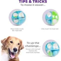 Outward Hound A-Maze Ball Puzzle & Treat Maze Interactive Dog Toy, Green -ROYAL CANIN Shop 786510 PT3. AC SS1800 V1694440054