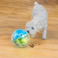 Outward Hound A-Maze Ball Puzzle & Treat Maze Interactive Dog Toy, Green -ROYAL CANIN Shop 786510 PT6. AC SS1800 V1682628695