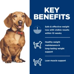 Hill's Science Diet Adult Perfect Weight Small & Mini Chicken Recipe Dry Dog Food -ROYAL CANIN Shop 794902 PT6. AC SS1800 V1682950512