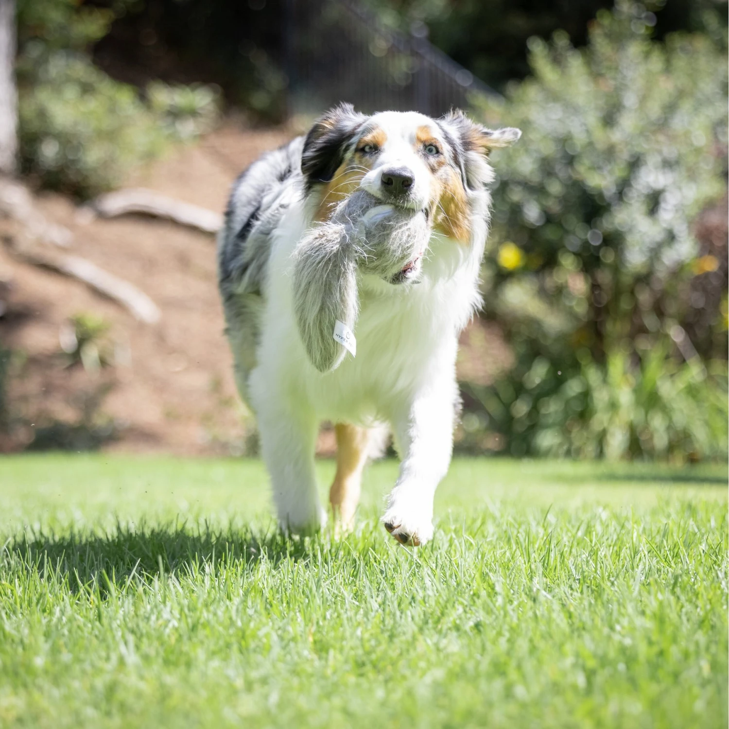 Hyper Pet Doggie Tail Interactive Dog Toy 7 Hyper Pet Doggie Tail Interactive Dog Toy - Image 7