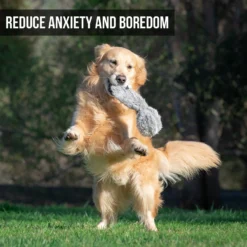 Hyper Pet Doggie Tail Interactive Dog Toy 11 Hyper Pet Doggie Tail Interactive Dog Toy -ROYAL CANIN Shop 80151 Pt3. AC SS1800 V1583767075