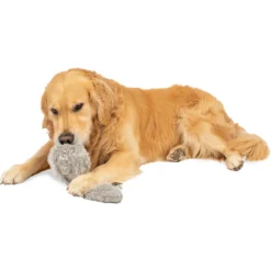 Hyper Pet Doggie Tail Interactive Dog Toy 13 Hyper Pet Doggie Tail Interactive Dog Toy -ROYAL CANIN Shop 80151 Pt5. AC SS1800 V1583768575