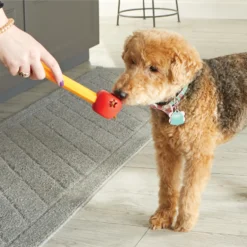 Brightkins Pooch School! Training Set Dog Toys -ROYAL CANIN Shop 805342 PT3. AC SS1800 V1682450379