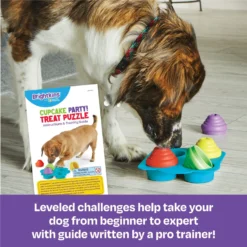 Brightkins Cupcake Party! Puzzle Treat Dog Toy 8 Brightkins Cupcake Party! Puzzle Treat Dog Toy -ROYAL CANIN Shop 805374 PT2. AC SS1800 V1679069093