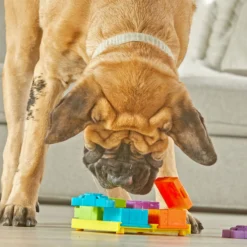 Brightkins Surprise Party! Puzzle Treat Dog Toy -ROYAL CANIN Shop 805390 PT3. AC SS1800 V1682450532