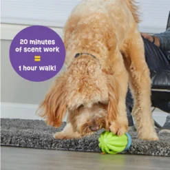 Brightkins Cactus Surprise! Treat Dispensing Dog Toy -ROYAL CANIN Shop 805422 PT3. AC SS1800 V1682450547