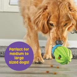Brightkins Cactus Surprise! Treat Dispensing Dog Toy -ROYAL CANIN Shop 805422 PT4. AC SS1800 V1682450356