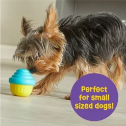 Brightkins Small Cupcake Treat Dispenser Dog Toy -ROYAL CANIN Shop 805438 PT3. AC SS1800 V1682450416