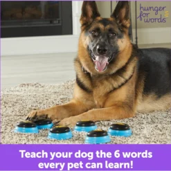 Hunger For Words Talking Pet Essential Words Dog Toy 9 Hunger For Words Talking Pet Essential Words Dog Toy -ROYAL CANIN Shop 805550 PT5. AC SS1800 V1682450529