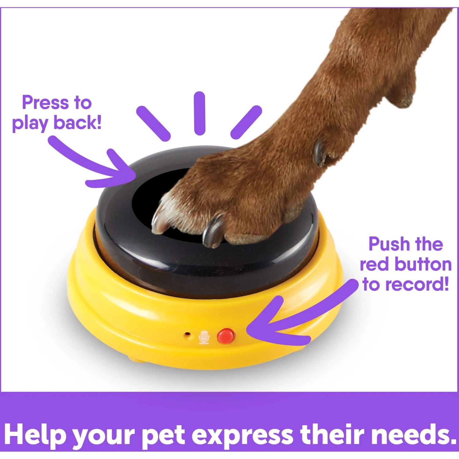 Hunger For Words Talking Pet Next Words: Names Dog Toy 4 Hunger For Words Talking Pet Next Words: Names Dog Toy - Image 4