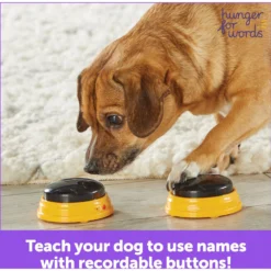Hunger For Words Talking Pet Next Words: Names Dog Toy 9 Hunger For Words Talking Pet Next Words: Names Dog Toy -ROYAL CANIN Shop 805566 PT5. AC SS1800 V1682450554