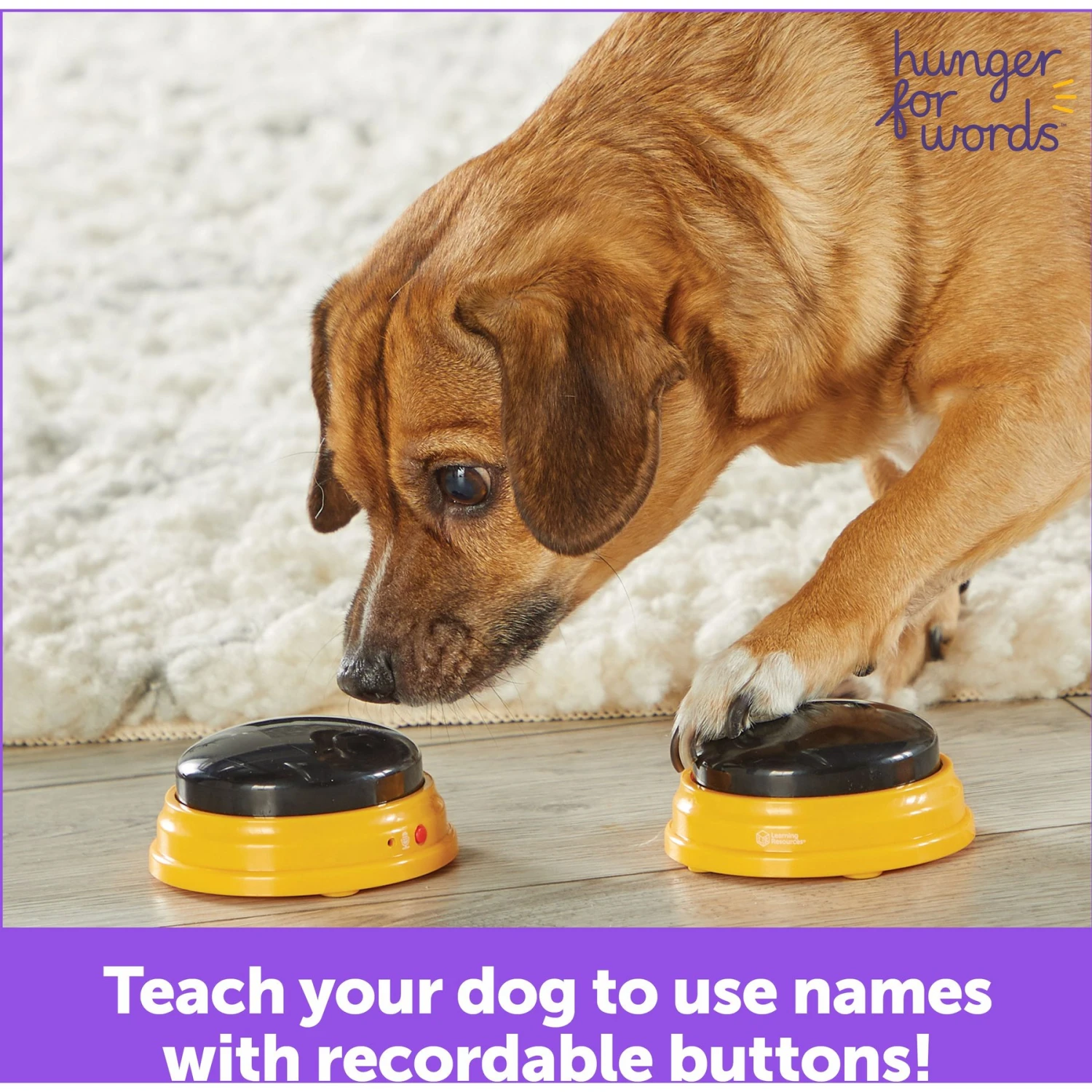 Hunger For Words Talking Pet Next Words: Names Dog Toy 5 Hunger For Words Talking Pet Next Words: Names Dog Toy - Image 5