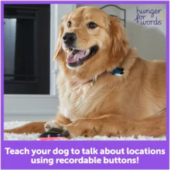 Hunger For Words Talking Pet Next Words: Locations Dog Toy -ROYAL CANIN Shop 805582 PT2. AC SS1800 V1679069469