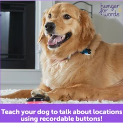 Hunger For Words Talking Pet Next Words: Locations Dog Toy -ROYAL CANIN Shop 805582 PT5. AC SS1800 V1682450486