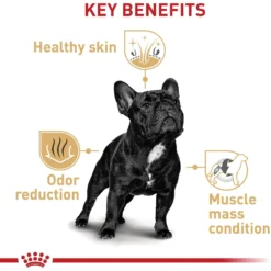 Royal Canin Breed Health Nutrition French Bulldog Adult Dry Dog Food -ROYAL CANIN Shop 81123 PT4. AC SS1800 V1697212427