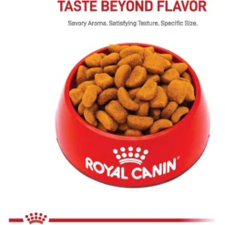 Featured Products -ROYAL CANIN Shop 81125 PT1. AC SS1800 V1695156632