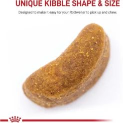 Royal Canin Breed Health Nutrition Rottweiler Adult Dry Dog Food -ROYAL CANIN Shop 81125 PT3. AC SS1800 V1695220038