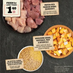 ACANA Wholesome Grains Real Chicken Eggs & Turkey Dry Puppy Food, 22.5-lb Bag -ROYAL CANIN Shop 822678 PT3. AC SS1800 V1696276591