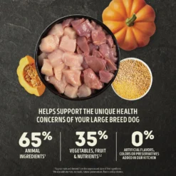 ACANA Wholesome Grains Large Breed Dry Dog Food, 22.5-lb Bag 10 ACANA Wholesome Grains Large Breed Dry Dog Food, 22.5-lb Bag -ROYAL CANIN Shop 822694 PT2. AC SS1800 V1682535211