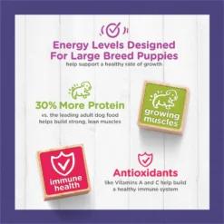 Puppy Chow High Protein With Real Chicken Large Breed Dry Puppy Food 16 Puppy Chow High Protein With Real Chicken Large Breed Dry Puppy Food -ROYAL CANIN Shop 839694 PT7. AC SS1800 V1701881648