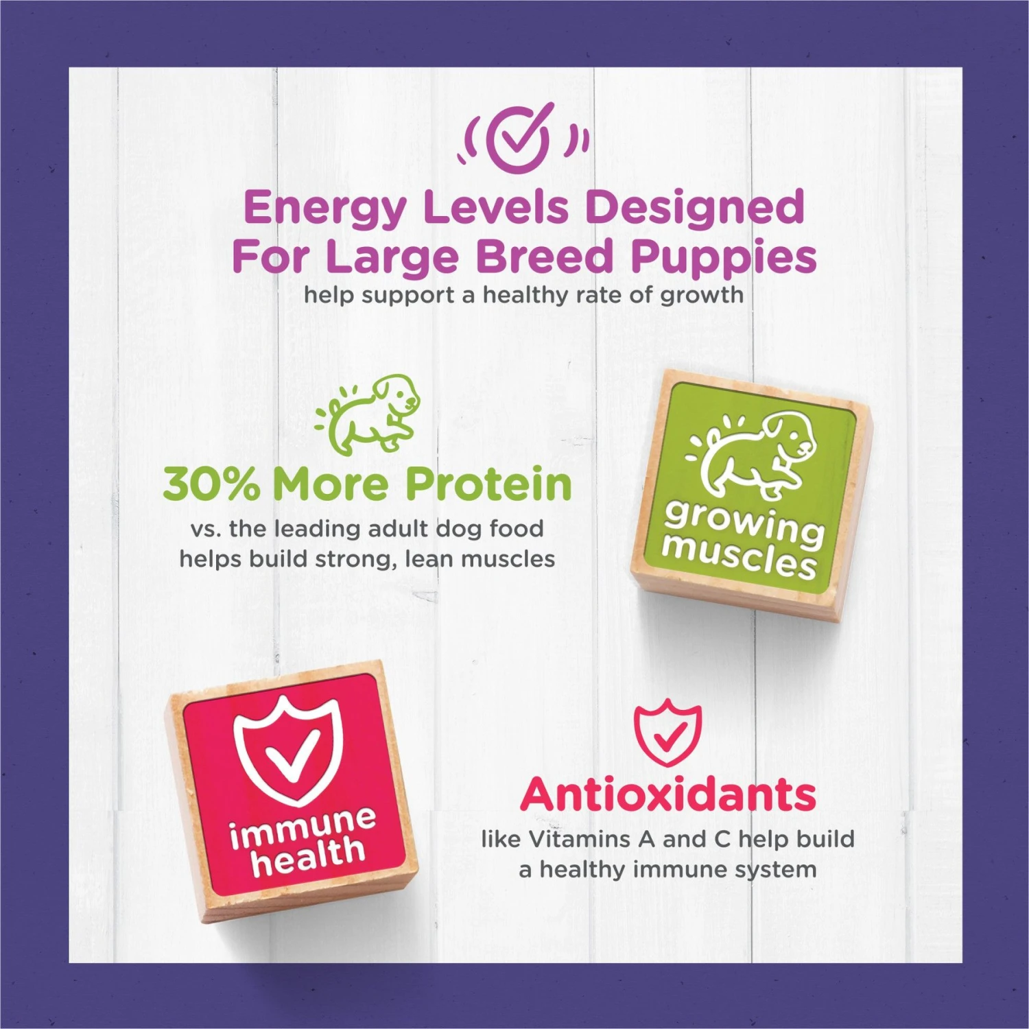 Puppy Chow High Protein With Real Chicken Large Breed Dry Puppy Food 8 Puppy Chow High Protein With Real Chicken Large Breed Dry Puppy Food - Image 8