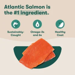 Jinx Salmon, Sweet Potato & Carrot ALS Kibble Dog Dry Food -ROYAL CANIN Shop 845262 PT2. AC SS1800 V1689709313