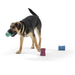 West Paw Funnl Dog Toy, Large, 4.25-in -ROYAL CANIN Shop 847974 PT6. AC SS1800 V1683905951