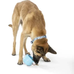 West Paw Toppl Dog Toy, X-Large, 4.75-in -ROYAL CANIN Shop 848006 PT5. AC SS1800 V1683905445