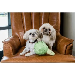 Injoya Artichoke Cat & Dog Snuffle Toy, Green, Small -ROYAL CANIN Shop 848070 PT2. AC SS1800 V1685463057