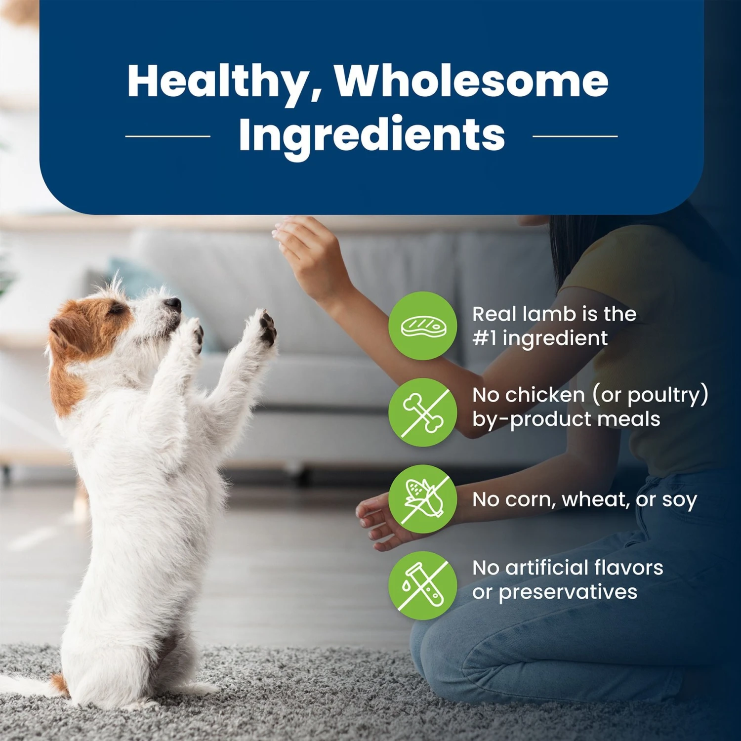 Blue Buffalo Life Protection Formula Small Breed Adult Lamb & Brown Rice Recipe Dry Dog Food 6 Blue Buffalo Life Protection Formula Small Breed Adult Lamb & Brown Rice Recipe Dry Dog Food - Image 6