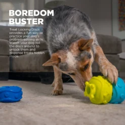 Outward Hound Treat Locking Discs Dispenser Puzzle Dog Toy, Multiple Colors -ROYAL CANIN Shop 855558 PT2. AC SS1800 V1686333064