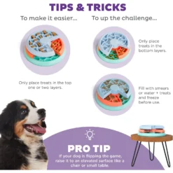 Outward Hound Puppy Lickin' Layers Slow Feeder For Puppies Interactive Dog Puzzle Game, Multiple Colors -ROYAL CANIN Shop 855574 PT3. AC SS1800 V1694286652